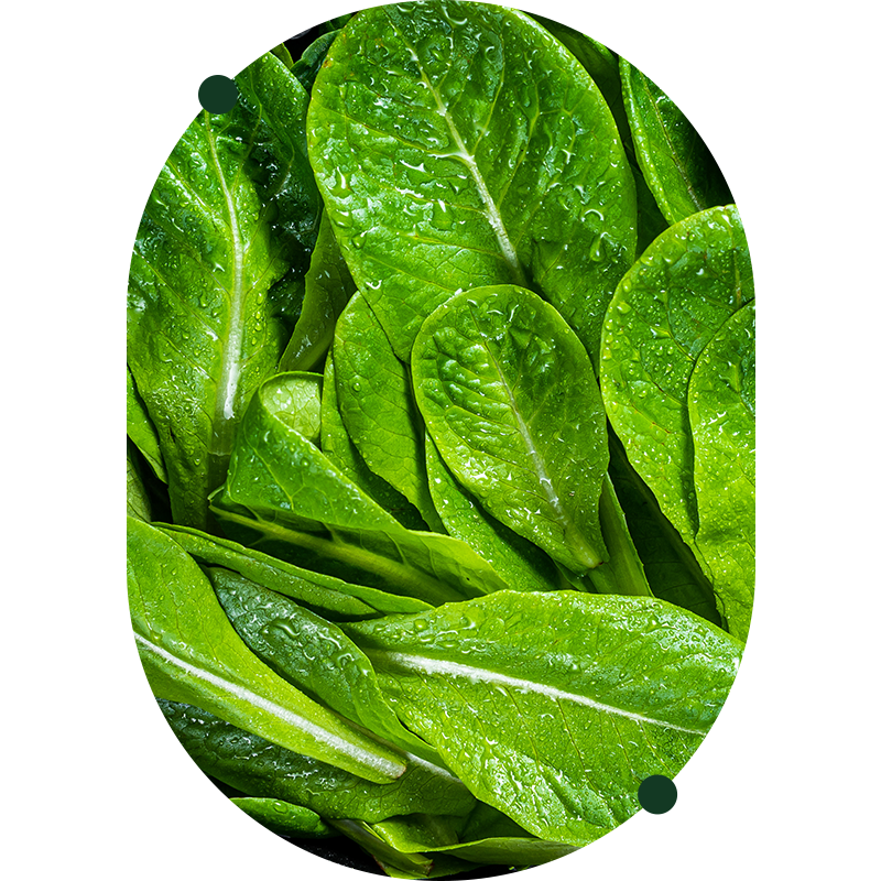 Alpha Lipoic Acid (ALA)