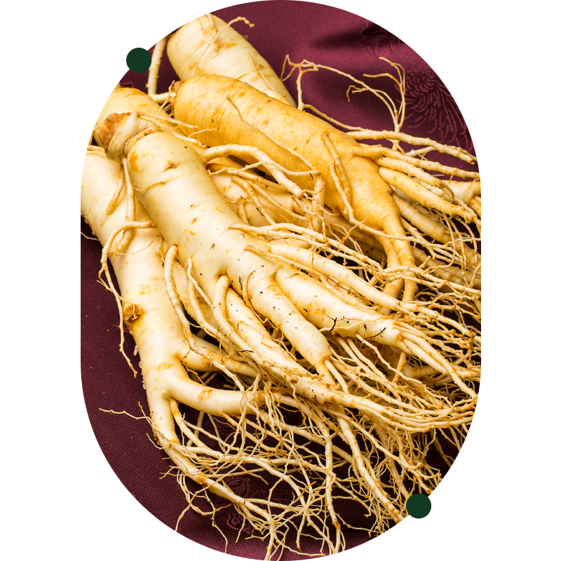 Ginseng Root