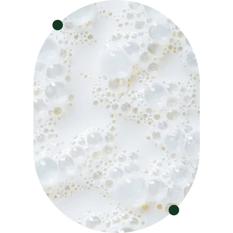 Nicotinamide Riboside (NR)