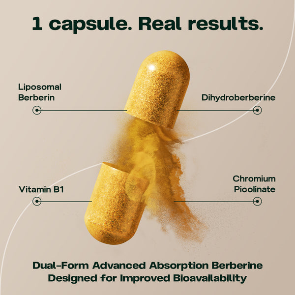 Prise en charge de la berbérine