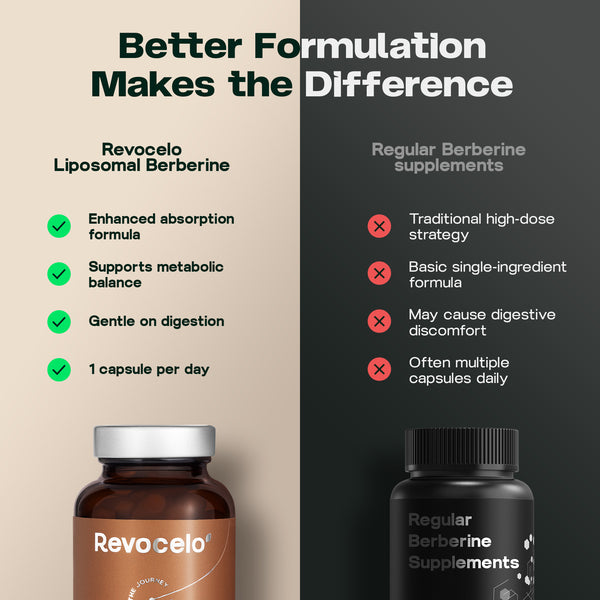 Prise en charge de la berbérine