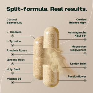 Cortisol Balance Day & Night