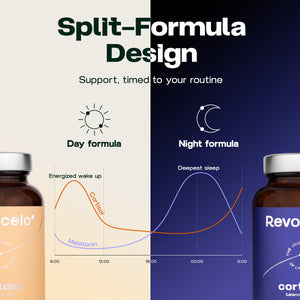 Cortisol Balance Day & Night