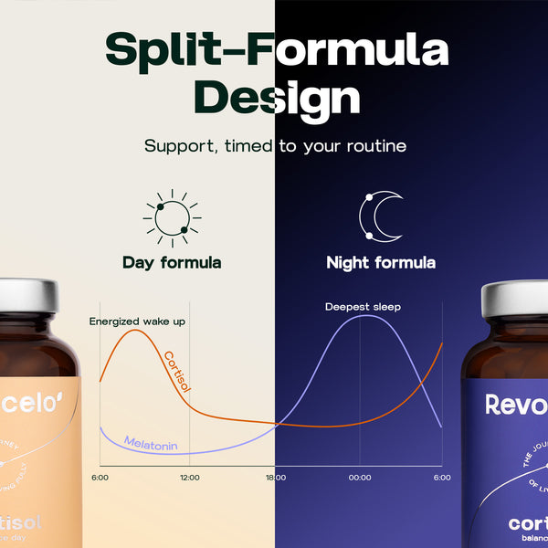 Cortisol Balance Day & Night