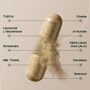 Liver & Thyroid Sync