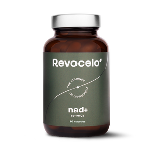 NAD+ Synergy