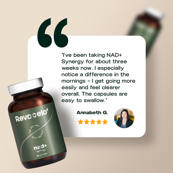 Synergie NAD+
