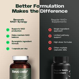 Synergie NAD+