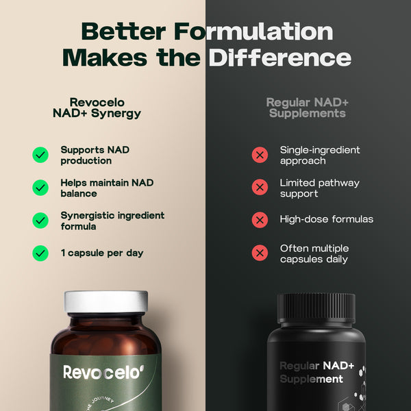 Synergie NAD+