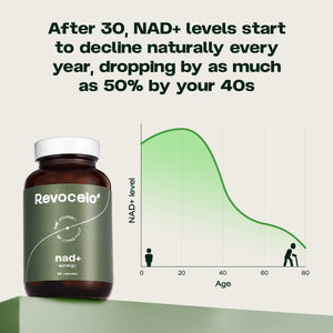 Synergie NAD+