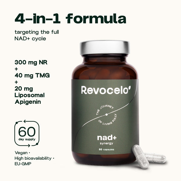 Synergie NAD+