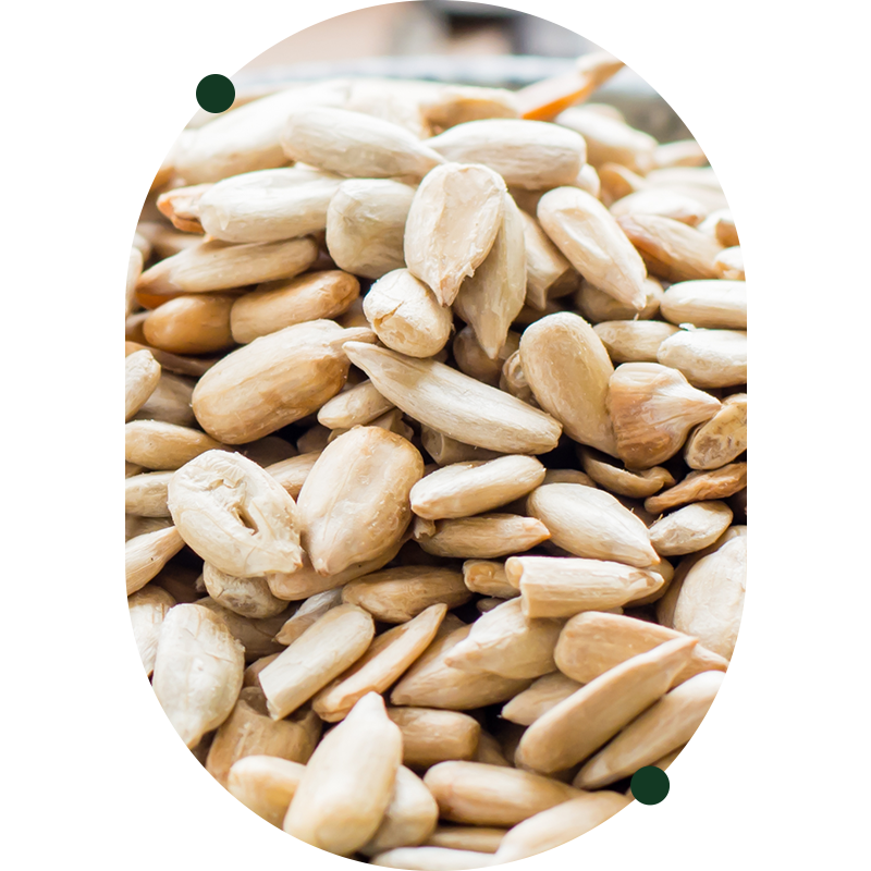 Vitamin B1 (Thiamine)