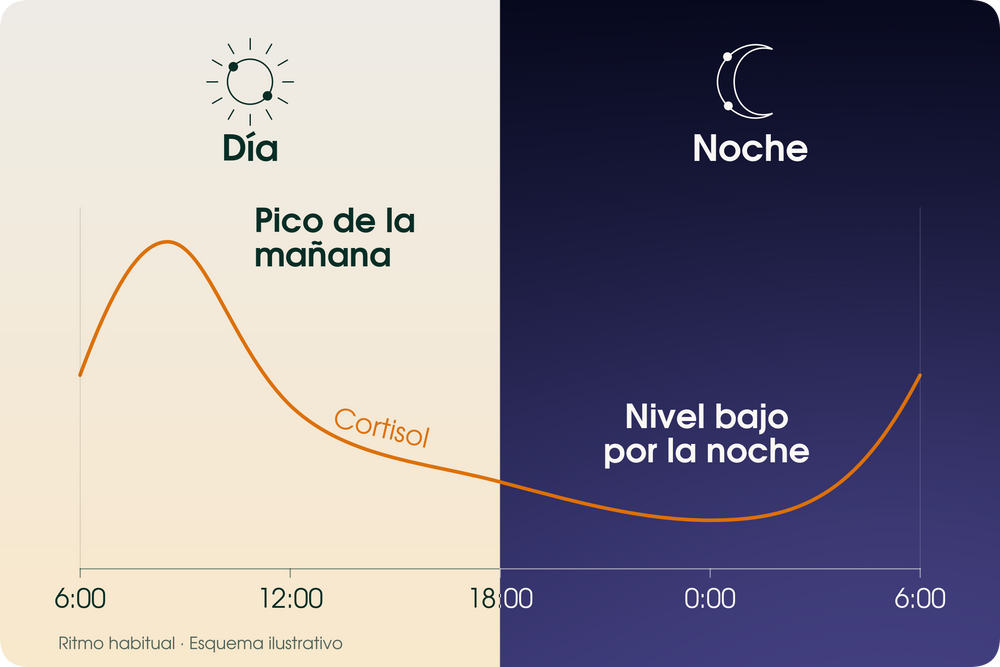 Cuando tu ritmo de cortisol está desajustado, perder peso puede parecer casi imposible.